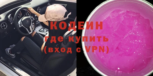 хмурый Алексин